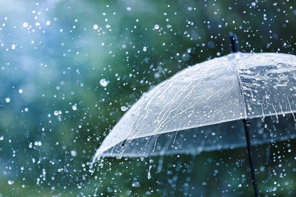 rain-umbrella-vancouver-weather.jpgw1000h667modecrop_25k36