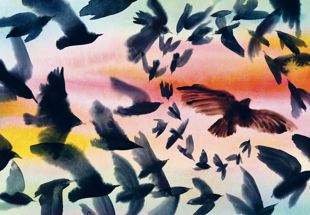 《我们是欧椋鸟——低吟的迷人魔力》