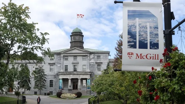 麦吉尔大学（McGill University）。
