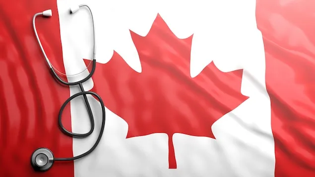 加拿大旗和听诊器。