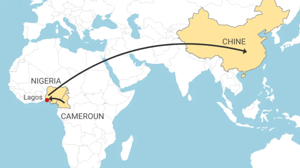 红木非法走私路经：从喀麦隆途径尼日利亚运往中国